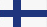 kielitaito language suomi finnish